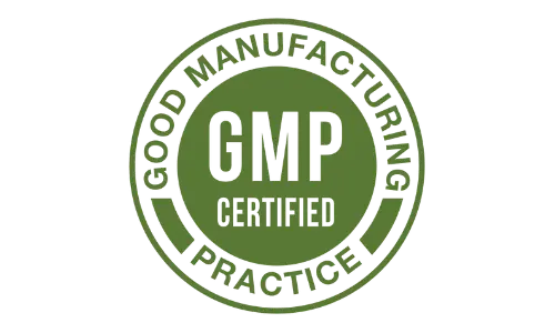 Vyvamind GMP Certified